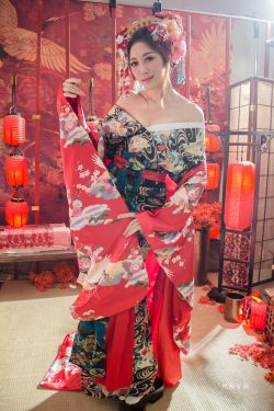 野鸭子2剧情简介